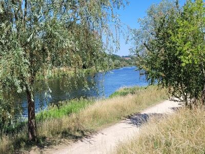 Ein Weg entlang des Donauufers