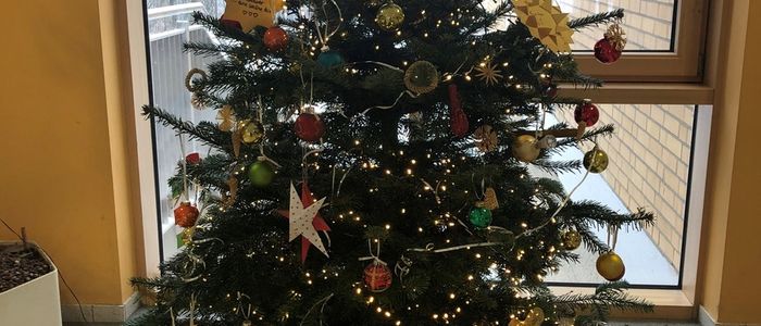 Weihnachtsbaum und Wunsch-Sterne