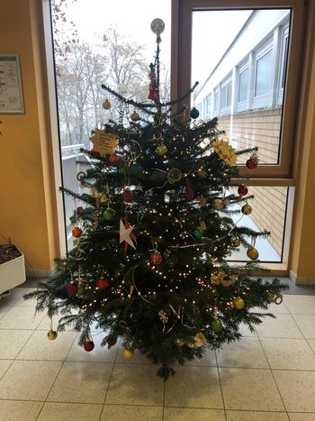 Weihnachtsbaum und Wunsch-Sterne